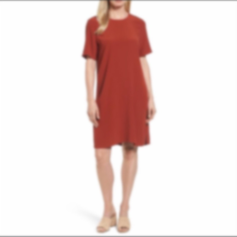 Eileen Fisher dress shift orange petite small